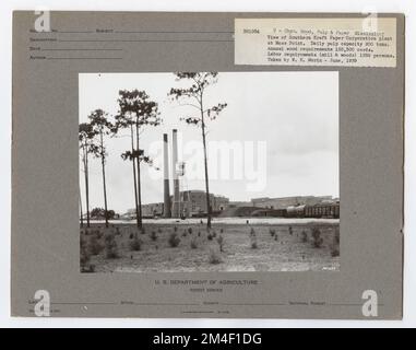 Pulp e mulini di carta - Mississippi. Fotografie relative alle foreste nazionali, alle pratiche di gestione delle risorse, al personale e alla storia culturale ed economica Foto Stock