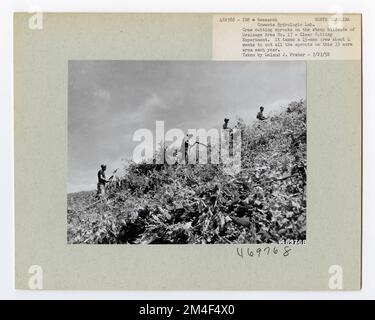 Studi Streamflow - Carolina del Nord. Fotografie relative alle foreste nazionali, alle pratiche di gestione delle risorse, al personale e alla storia culturale ed economica Foto Stock