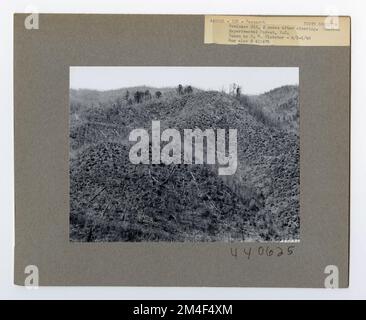 Studi Streamflow - Carolina del Nord. Fotografie relative alle foreste nazionali, alle pratiche di gestione delle risorse, al personale e alla storia culturale ed economica Foto Stock