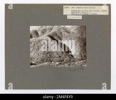 Studi Streamflow - Carolina del Nord. Fotografie relative alle foreste nazionali, alle pratiche di gestione delle risorse, al personale e alla storia culturale ed economica Foto Stock