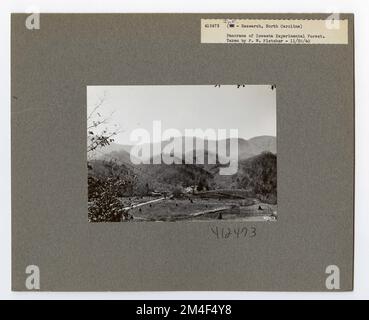 Studi Streamflow - Carolina del Nord. Fotografie relative alle foreste nazionali, alle pratiche di gestione delle risorse, al personale e alla storia culturale ed economica Foto Stock
