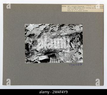 Studi Streamflow - Carolina del Nord. Fotografie relative alle foreste nazionali, alle pratiche di gestione delle risorse, al personale e alla storia culturale ed economica Foto Stock