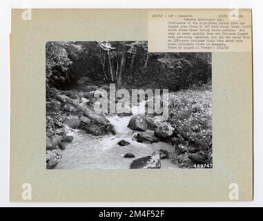 Studi Streamflow - Carolina del Nord. Fotografie relative alle foreste nazionali, alle pratiche di gestione delle risorse, al personale e alla storia culturale ed economica Foto Stock