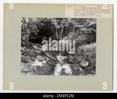 Studi Streamflow - Carolina del Nord. Fotografie relative alle foreste nazionali, alle pratiche di gestione delle risorse, al personale e alla storia culturale ed economica Foto Stock