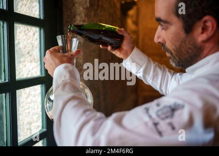 Sommelier inghiottisce una bottiglia di vino rosso che è stata aperta con pinze calde Foto Stock