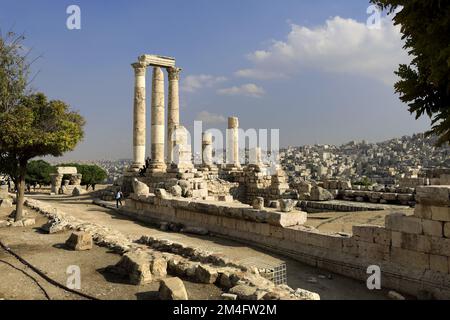 Il tempio romano di Ercole nella Cittadella, città di Amman, Giordania, Medio Oriente Foto Stock