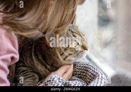 piccola ragazza che abbraccia il gattino gatto tabby sulla finestra dill.pussycat riflessione in vetro della finestra come specchio.adorable domestico relazione dell'animale domestico fra l'animale Foto Stock