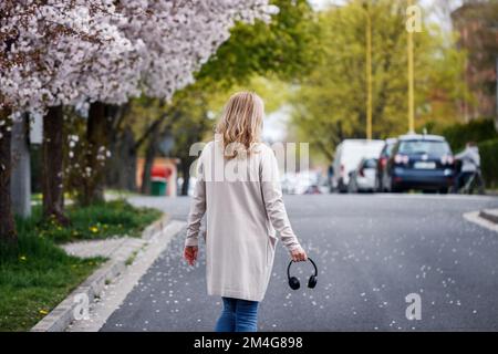 Donna con cuffie che cammina per strada sotto i ciliegi in fiore. Vita cittadina in primavera Foto Stock