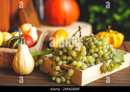 Raccolto autunnale. Uva, zucche decorative, zucca e zucca su tavola di legno Foto Stock