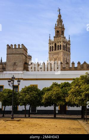 Patio de Banderas, piazza storica con Murallas del Alcazar e vista sulla cattedrale con la torre la Giralda sullo sfondo. Siviglia, Andalusia, Spagna. Foto Stock