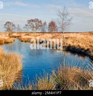 Womere pool a metà inverno Cannock Chase Country Park AONB (area di straordinaria bellezza naturale) in Staffordshire Inghilterra Regno Unito Foto Stock