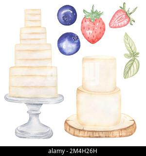 Acquerello dolce torta illustrazione per il logo panetteria, invito di nozze. Dolci dipinti a mano e decorazioni di frutti di bosco. Foto Stock