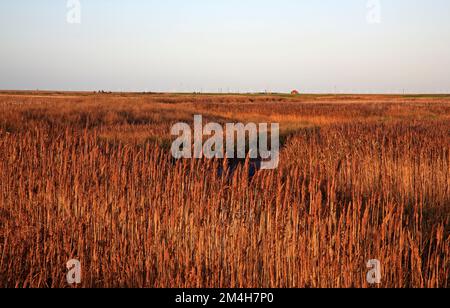 Una vista sulle paludi e i letti di canne con il fiume Glaven serpeggianti seaward nel Nord Norfolk a Cley Next the Sea, Norfolk, Inghilterra, Regno Unito. Foto Stock