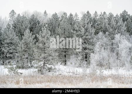 Gelate invernali-, Greater Sudbury, Ontario, Canada Foto Stock