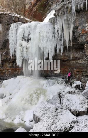 Un camminatore che si gode lo spettacolo delle Icicle giganti che si aggettano dalla cascata congelata di Ashgill Force vicino a Garrigill, Cumbria, Regno Unito Foto Stock