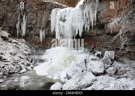 Un camminatore che si gode lo spettacolo delle Icicle giganti che si aggettano dalla cascata congelata di Ashgill Force vicino a Garrigill, Cumbria, Regno Unito Foto Stock