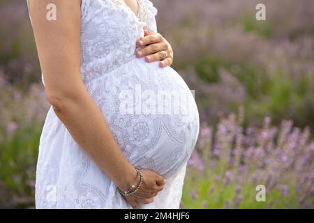 Primo piano del ventre di una donna incinta in un campo di lavanda. Persona anonima irriconoscibile in tuta bianca con le mani appoggiate sul ventre. Foto Stock