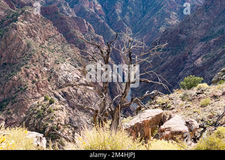 Vista della Royal Gorge e del fiume Arkansas a Canon City, Colorado Foto Stock