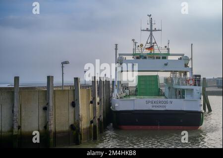 NEUHARLINGERSIEL, GERMANIA - 26 NOVEMBRE 2022: Attraccato il traghetto Spiekeroog IV Foto Stock