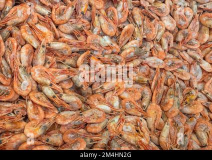 Vista ravvicinata dei gamberetti congelati isolati. Concetto di cibo sano. Svezia. Foto Stock