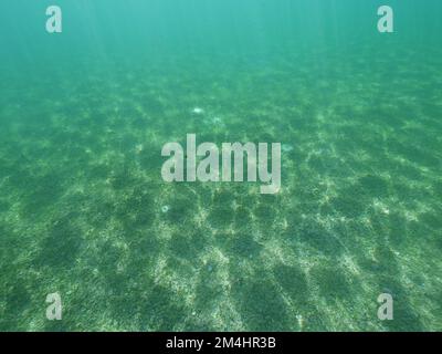 mare dei caraibi split livello oceano Foto Stock