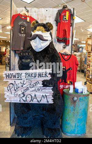 Jackson, Wyoming - 20 luglio 2022: Orso imbottito gigante che indossa una maschera per il viso saluta i clienti in un negozio di articoli da regalo, con igienizzatore per le mani e maschere chirurgiche, bene Foto Stock