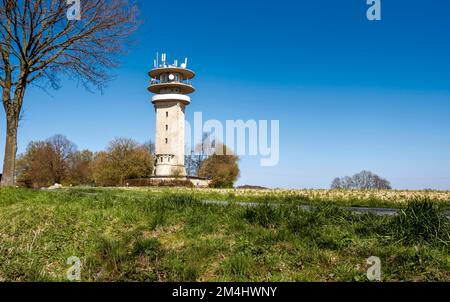 Longinusturm sulla Westerberg, Baumberge, Nottuln, Muensterland, Renania settentrionale-Vestfalia, Germania Foto Stock