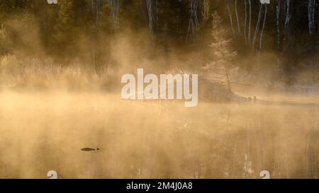 Nebbie mattutine su uno stagno in primavera, Greater Sudbury, Ontario, Canada Foto Stock