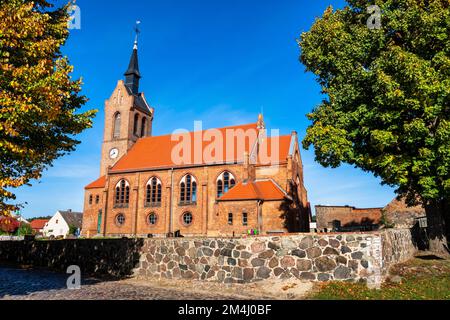 Freudenberg Village Church, Brandeburgo, Germania Foto Stock