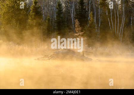 Nebbie mattutine su uno stagno in primavera, Greater Sudbury, Ontario, Canada Foto Stock