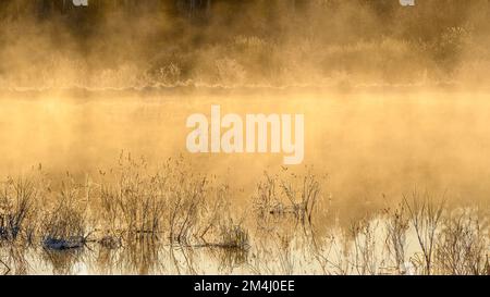 Nebbie mattutine su uno stagno in primavera, Greater Sudbury, Ontario, Canada Foto Stock