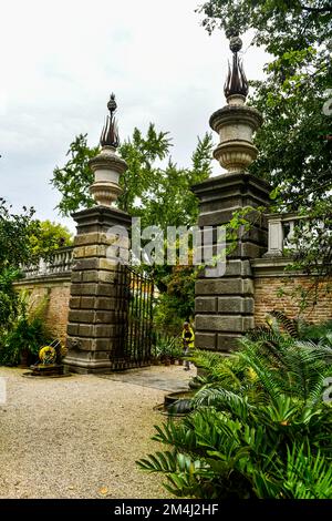 Orto Botanico di Padova, sito mondiale dell'UNESCO, il più antico giardino botanico di Padova Foto Stock