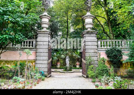 Orto Botanico di Padova, sito mondiale dell'UNESCO, il più antico giardino botanico di Padova Foto Stock