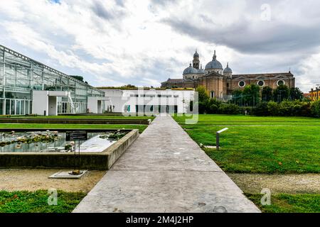 Orto Botanico di Padova, sito mondiale dell'UNESCO, il più antico giardino botanico di Padova Foto Stock