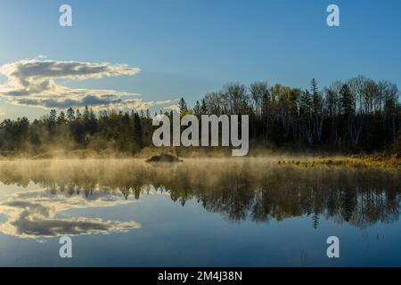 Nebbie mattutine su un laghetto dei castori all'inizio della primavera, Greater Sudbury, Ontario, Canada Foto Stock