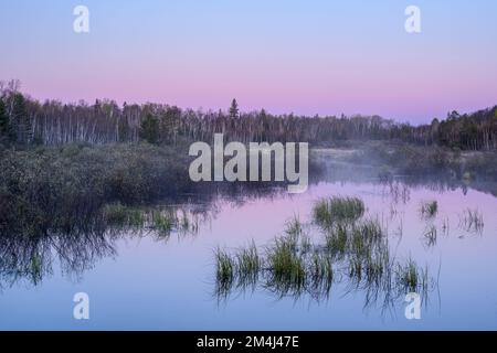 Nebbie mattutine all'alba su uno stagno dei castori all'inizio della primavera, Greater Sudbury, Ontario, Canada Foto Stock