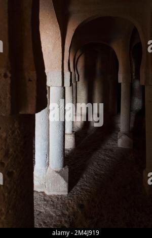 Ad arco a ferro di cavallo. L''Eremo di San Baudelio de Berlanga è una chiesa dei primi del 11th° secolo. E' un esempio importante di architettura mozarabica per la sua Foto Stock