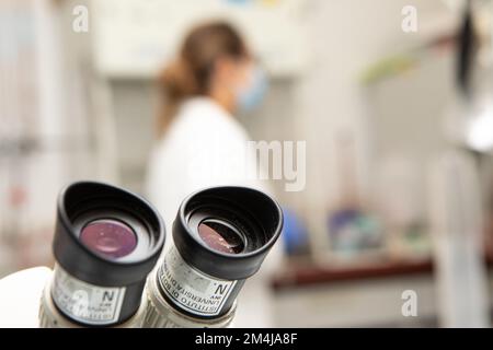 Ferrara, Italia, 8 settembre 2022: Primo piano degli oculari di un microscopio ottico in focus e laboratorio con un ricercatore scientifico sfocato nel bac Foto Stock