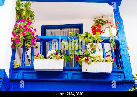 Balcone blu con vasi di fiori. Tazones, Principato delle Asturie, Spagna, Europa Foto Stock