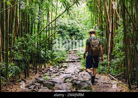 Uomo con uno zaino che cammina attraverso la foresta di bambù. Esplorare, viaggiare, avventura all'aperto Foto Stock