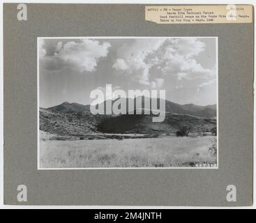 Tipi di praterie - Arizona. Fotografie relative alle foreste nazionali, alle pratiche di gestione delle risorse, al personale e alla storia culturale ed economica Foto Stock