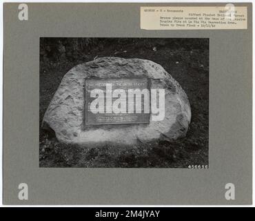 Monumenti storici - Washington. Fotografie relative alle foreste nazionali, alle pratiche di gestione delle risorse, al personale e alla storia culturale ed economica Foto Stock