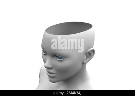 testa umana con vuoto interno. rendering 3d Foto Stock