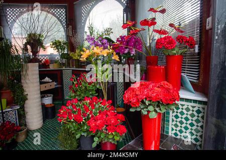 Fantastiche rose rosse (tagliate), gigli arancioni, callas rosse e falenopsie in un negozio di fiori in un hotel a 5 stelle a Marrakech - e piastrelle marocchine in ki Foto Stock