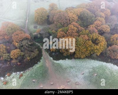 Hampstead Heath è coperto di gelo e nebbia pesante questa mattina, come visto dall'alto. Immagine scattata il 9th dicembre 2022. © Belinda Jiao jiao.bilin@gmail.co Foto Stock