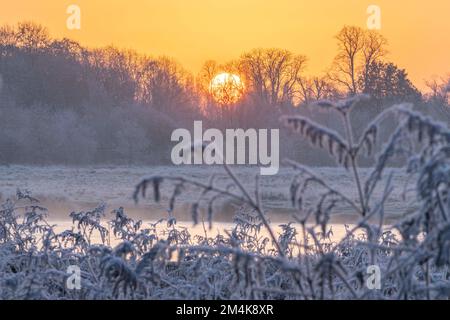 Il parco di Bushy è coperto di gelo mentre il sole sorge questa mattina. Immagine scattata il 10th dicembre 2022. © Belinda Jiao jiao.bilin@gmail.com 07598931257 https: Foto Stock