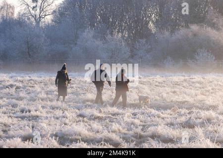 Il Bushy Park è coperto di ghiaccio questa mattina. La gente cammina il loro cane nel tempo freddo. Immagine scattata il 10th dicembre 2022. © Belinda Jiao jiao.bilin@ Foto Stock