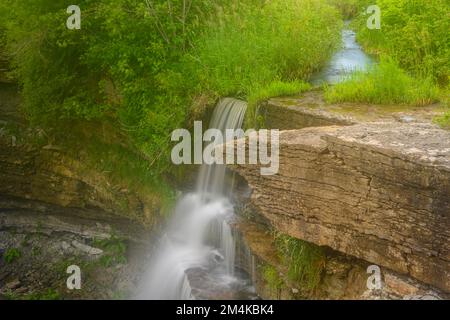 Alte cascate, Manitowaning, Manitoulin Island, Ontario, Canada Foto Stock