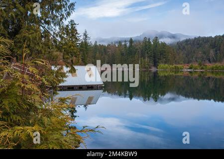 Mattinata autunnale con la foresta con lago, riflessione forestale e nebbia sulla superficie dell'acqua. Il paesaggio tranquillo con la foresta autunnale si riflette nella wa Foto Stock