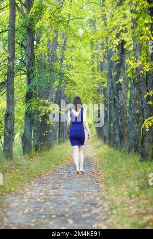 Donna in abito blu che cammina lungo il vicolo autunnale tiglio albero. Percorso sotto gli alberi gialli con foglie autunnali in caduta. Giorno autunnale soleggiato. I raggi del sole Foto Stock